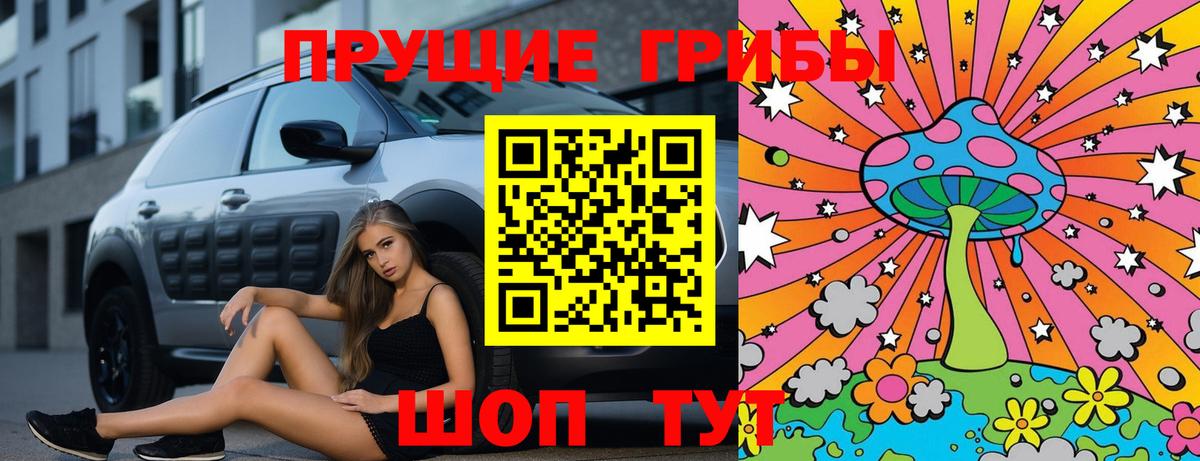 Унеча  Псилоцибиновые грибы Cubensis  Вход с VPN 