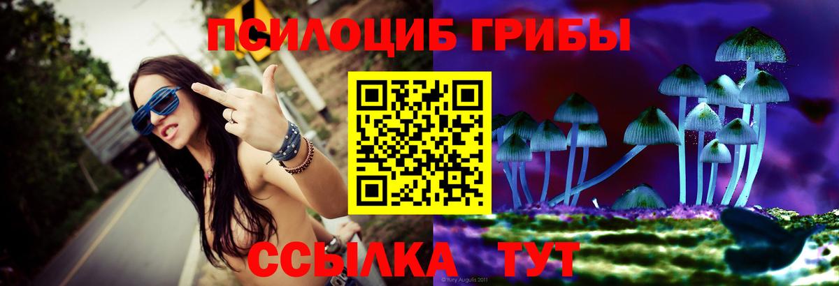 Псилоцибиновые грибы Cubensis Унеча